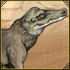 Ammit Whelp